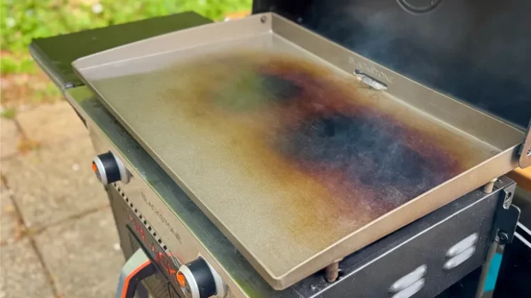 Blackstone 28 – обзор комбинированной аэрофритюрницы фото