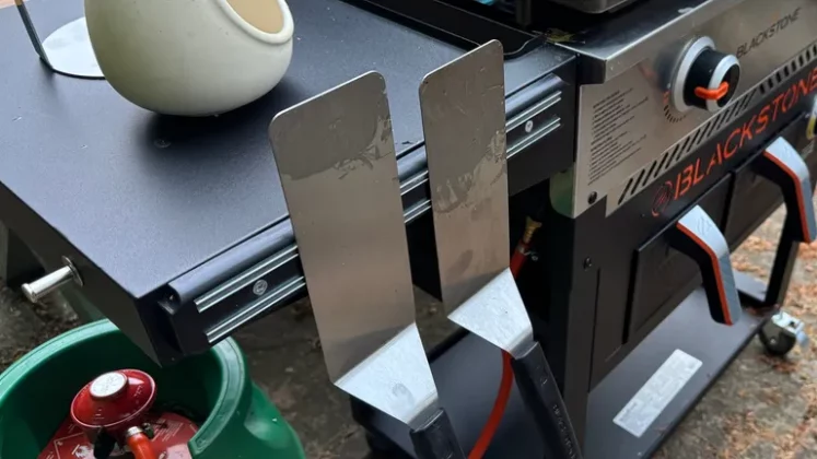 Blackstone 28 – обзор комбинированной аэрофритюрницы фото