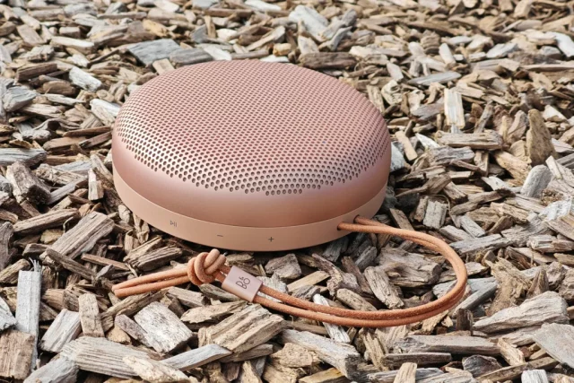 B&O Beosound A1 3rd Gen