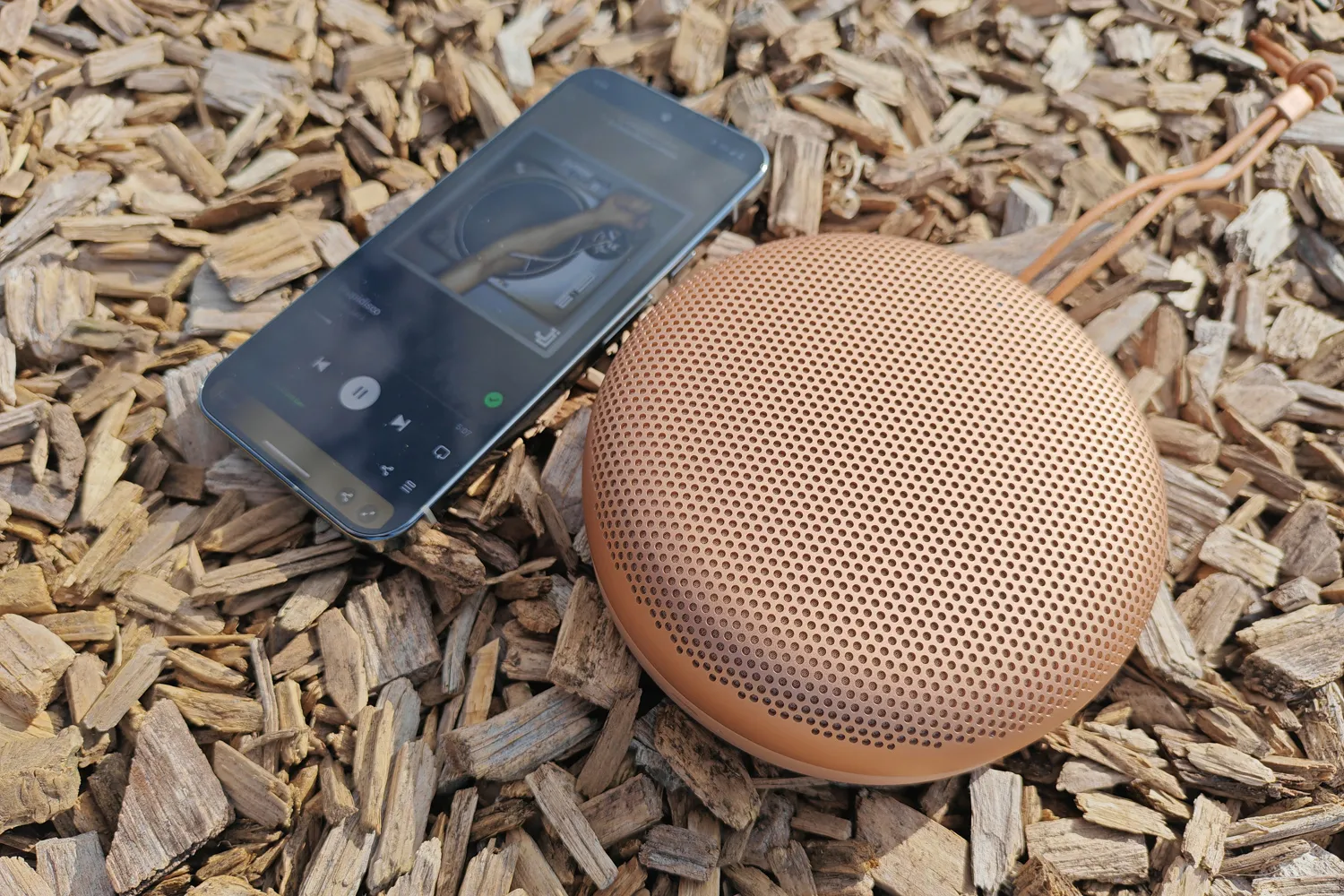 B&O Beosound A1 3rd Gen