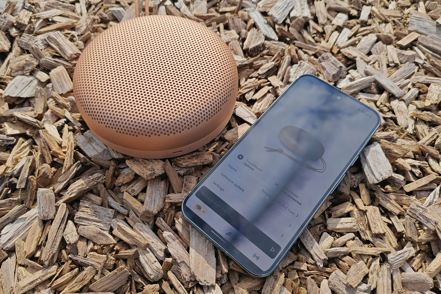 B&O Beosound A1 3rd Gen