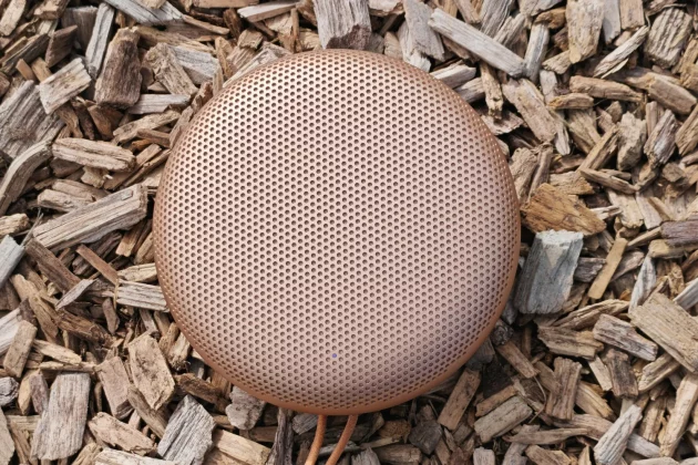 B&O Beosound A1 3rd Gen