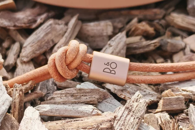 B&O Beosound A1 3rd Gen