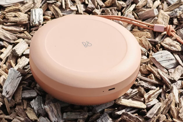 B&O Beosound A1 3rd Gen