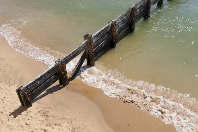 Canon EOS R50 V: лучшая беззеркальная камера для новичков фото