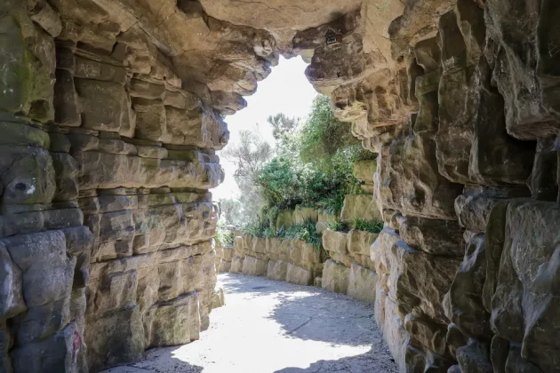 Canon EOS R50 V: лучшая беззеркальная камера для новичков фото