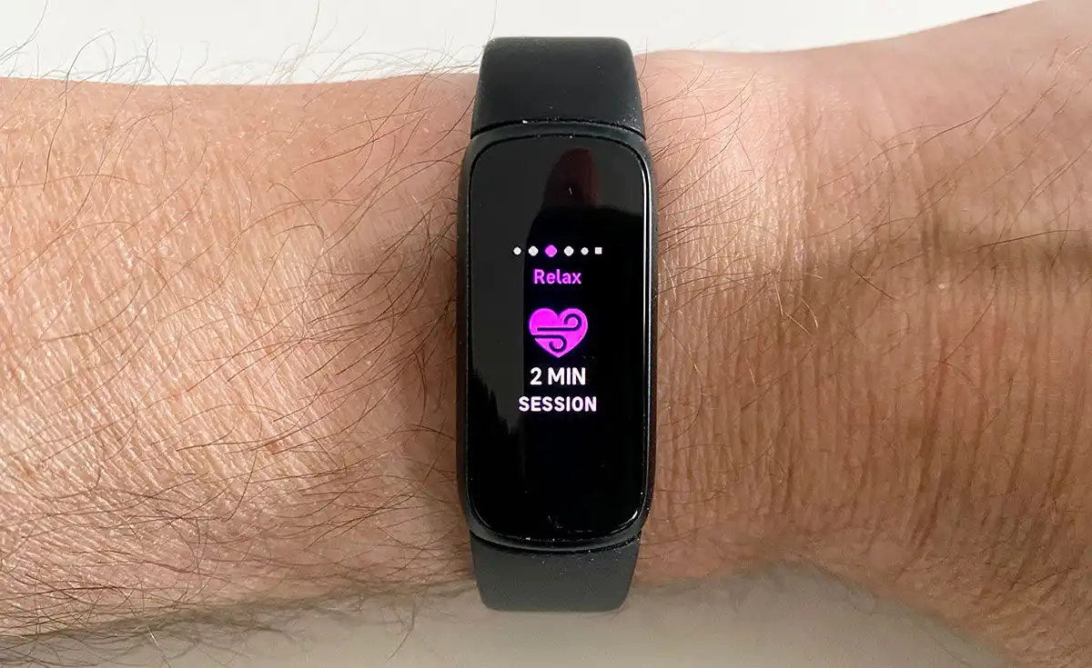 Лучший Fitbit в 2025 году: топ-7 моделей картинка Fitbit Luxe