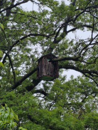 Galaxy S25 Edge: я влюбился в него, но все равно не куплю фото