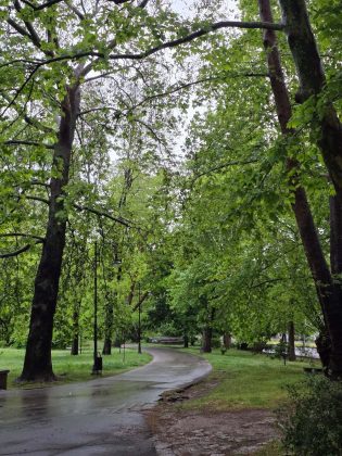 Galaxy S25 Edge: я влюбился в него, но все равно не куплю фото