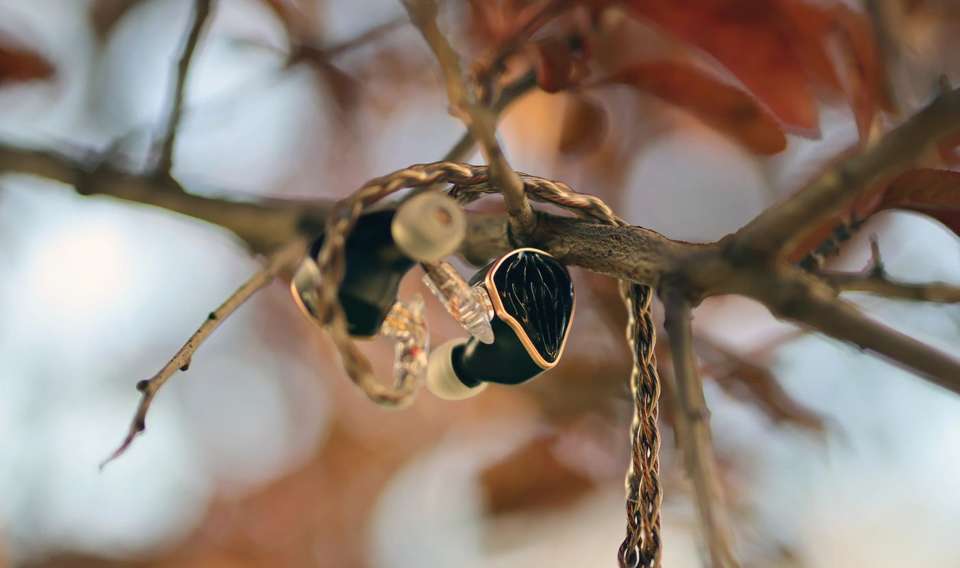 Обзор HIDIZS MS5: один динамик и море удовольствия картинка HIDIZS MS5