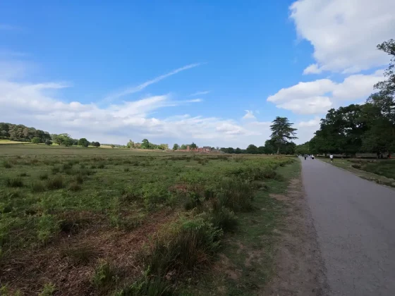 Обзор Honor 400 Pro: мастер на все руки фото