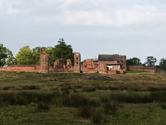 Обзор Honor 400 Pro: мастер на все руки фото