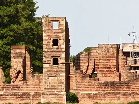 Обзор Honor 400 Pro: мастер на все руки фото