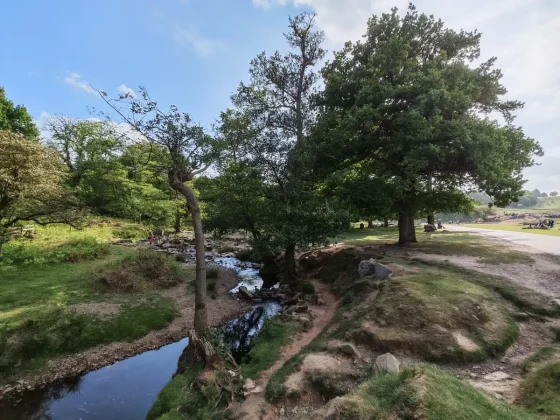 Обзор Honor 400 Pro: мастер на все руки фото