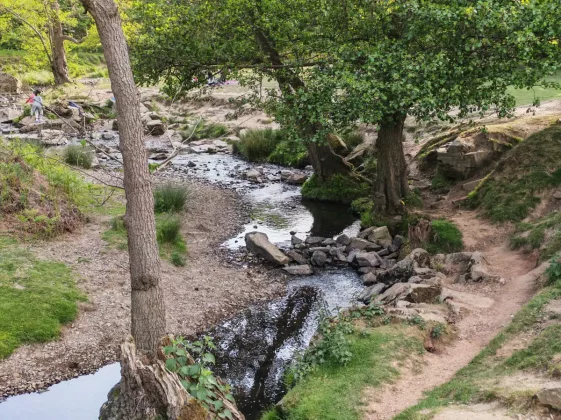 Обзор Honor 400 Pro: мастер на все руки фото