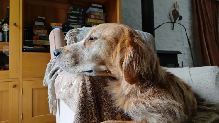 Обзор Redmagic 10 Air: компактный игровой компьютер фото