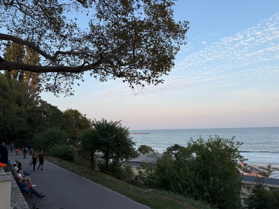 iPhone 16 Pro Max / iPhone 16 Pro-7