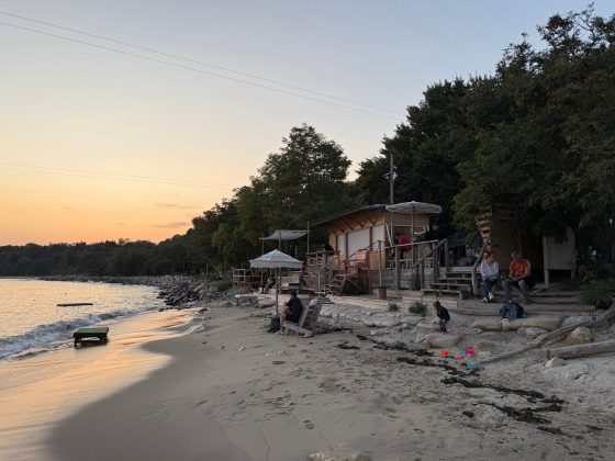 iPhone 16 Pro Max / iPhone 16 Pro-8