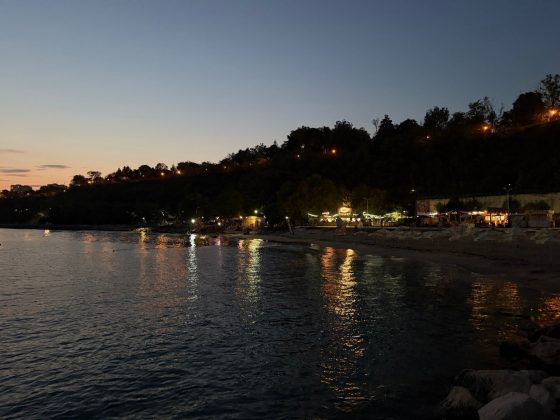 iPhone 16 Pro Max / iPhone 16 Pro-9