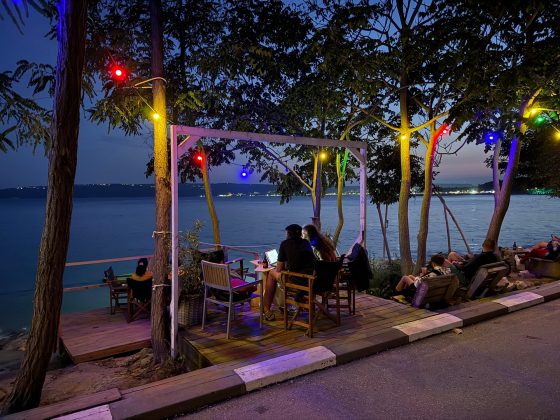 iPhone 16 Pro Max / iPhone 16 Pro-11