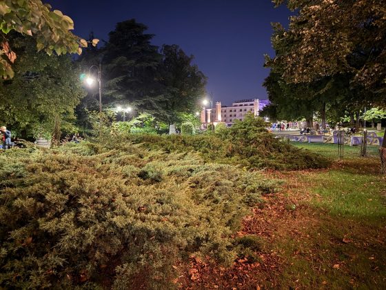 iPhone 16 Pro Max / iPhone 16 Pro-13