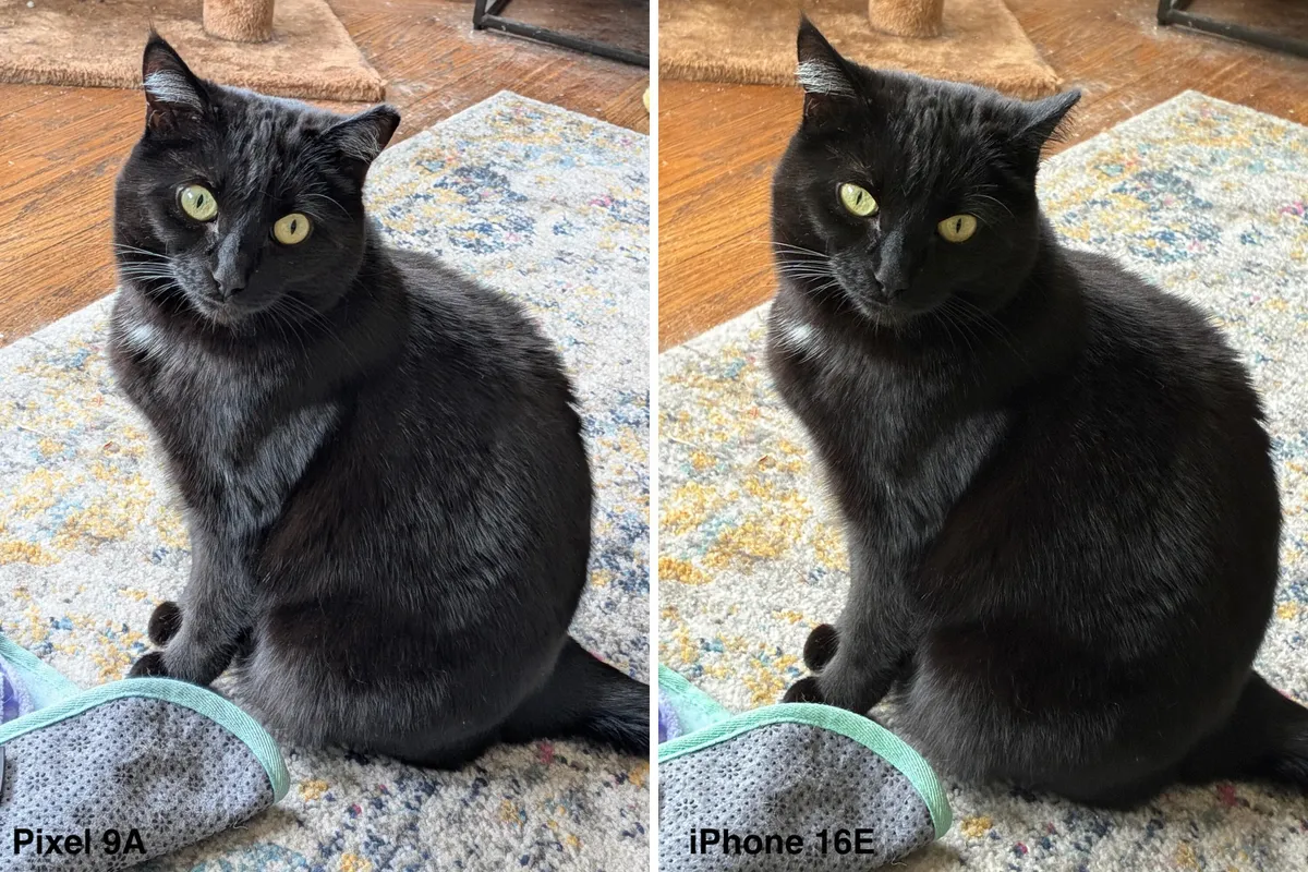 камера iPhone 16E против Pixel 9A
