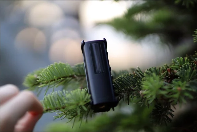 Lotoo PAW S2 7 Lotoo PAW S2