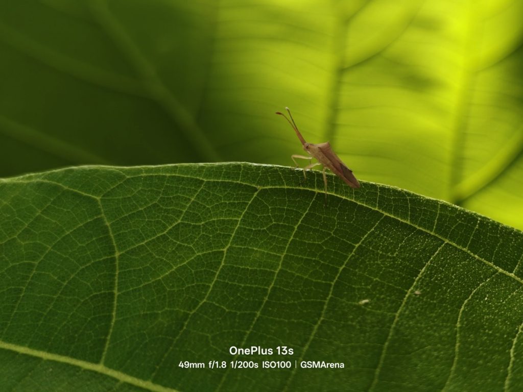 OnePlus 13s