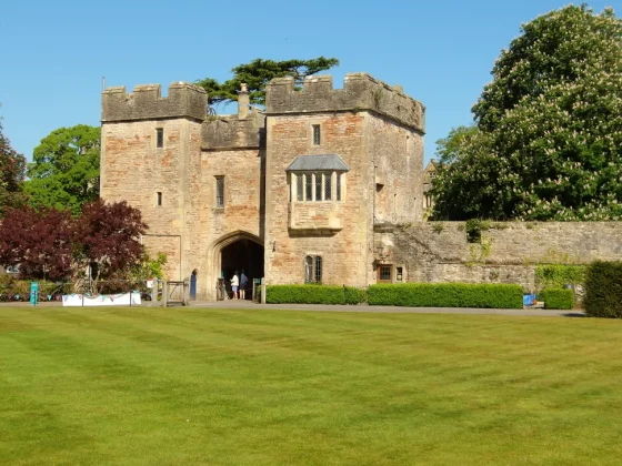 Обзор Pentax WG-1000: компактная и выносливая камера фото