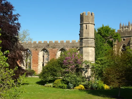 Обзор Pentax WG-1000: компактная и выносливая камера фото