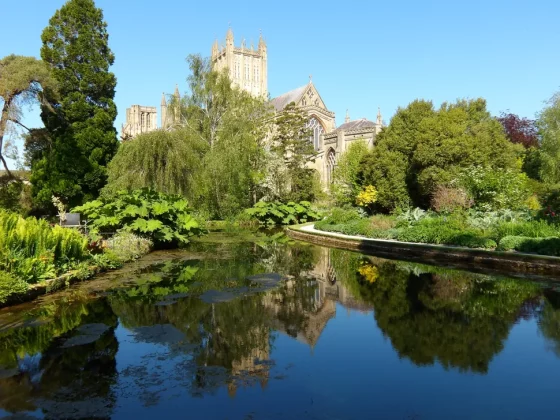 Обзор Pentax WG-1000: компактная и выносливая камера фото