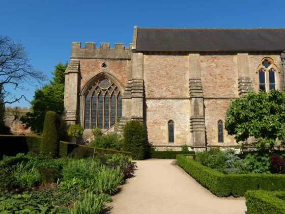 Обзор Pentax WG-1000: компактная и выносливая камера фото