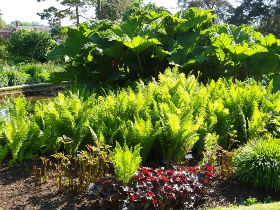 Обзор Pentax WG-1000: компактная и выносливая камера фото