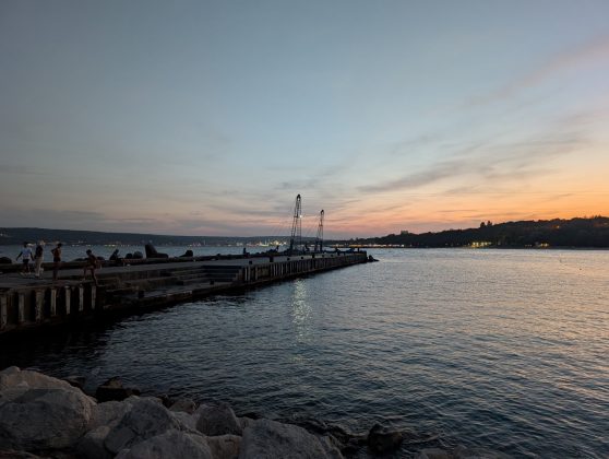 Google Pixel 9 Pro XL-9