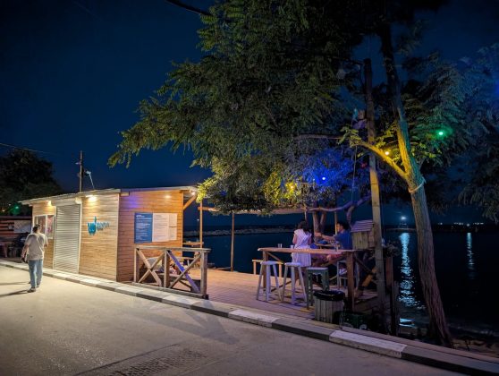 Google Pixel 9 Pro XL-12