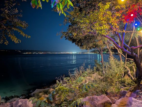 Google Pixel 9 Pro XL-13