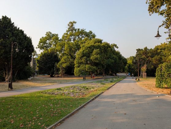 Google Pixel 9 Pro XL-3