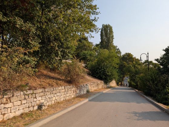 Google Pixel 9 Pro XL-6