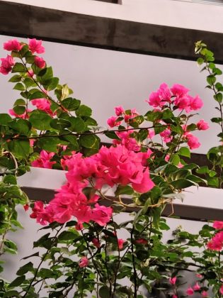 Обзор Realme 14 5G: мощный игровой смартфон фото