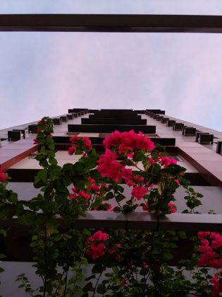 Обзор Realme 14 5G: мощный игровой смартфон фото