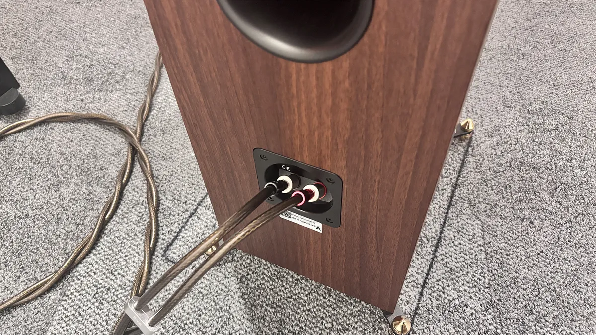 Revival Audio Sprint 4: обзор напольных колонок картинка Revival Audio Sprint 4