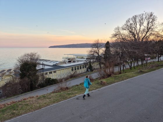 Samsung Galaxy S24 Plus / Samsung Galaxy S2-3