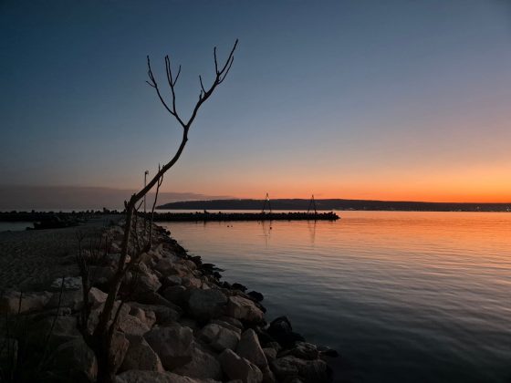 Samsung Galaxy S24 Plus / Samsung Galaxy S2-11