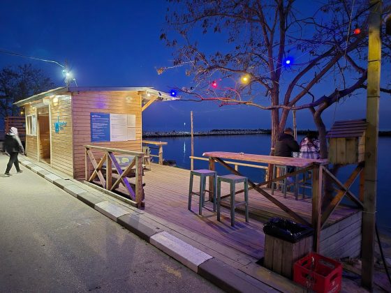 Samsung Galaxy S24 Plus / Samsung Galaxy S2-8