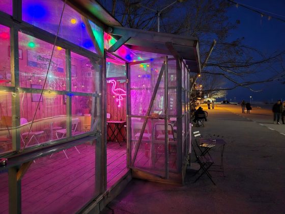 Samsung Galaxy S24 Plus / Samsung Galaxy S2-10