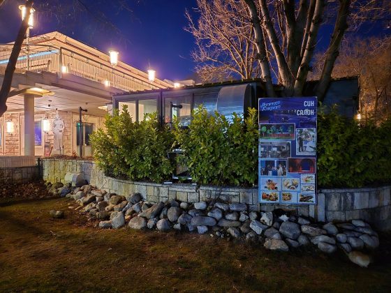 Samsung Galaxy S24 Plus / Samsung Galaxy S2-9