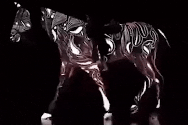 Оптические иллюзии: шагающая лошадь