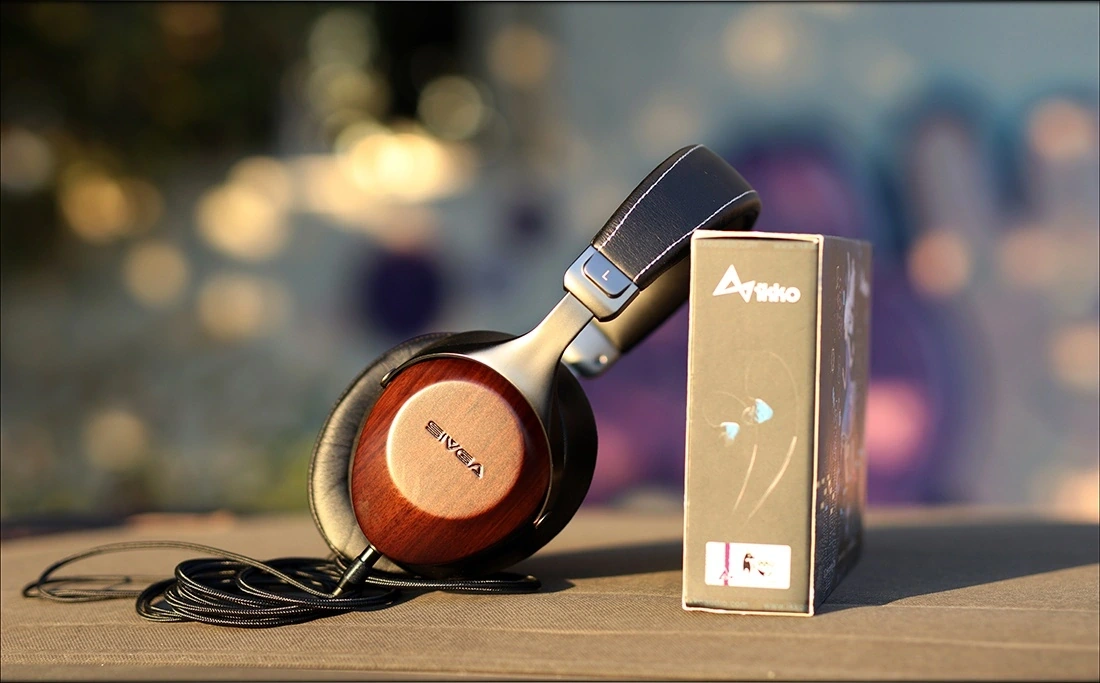 Sivga Robin SV021: обзор наушников с мощным басом картинка Sivga Robin SV021