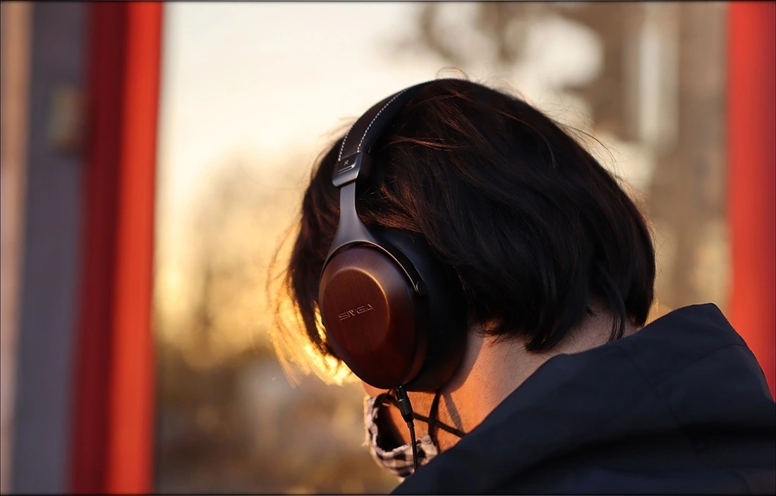 Sivga Robin SV021: обзор наушников с мощным басом картинка Sivga Robin SV021