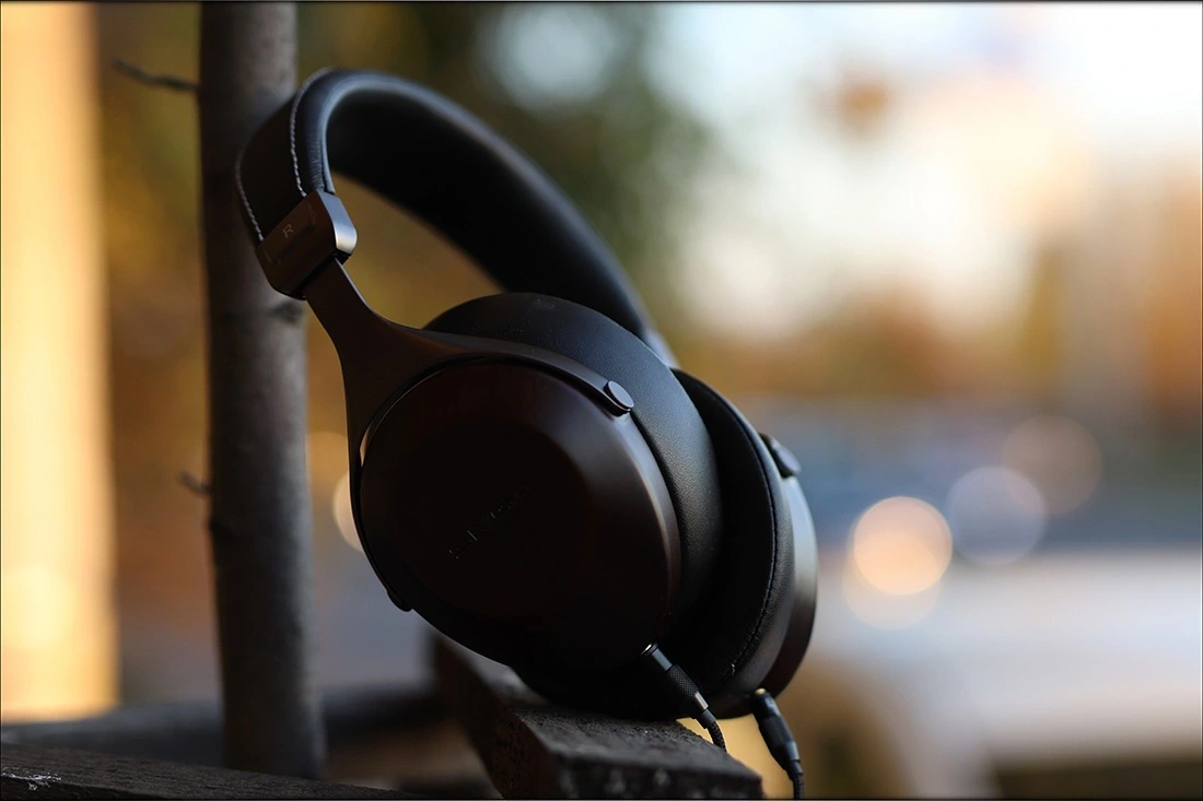 Sivga Robin SV021: обзор наушников с мощным басом картинка Sivga Robin SV021